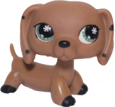 No # Dachshund